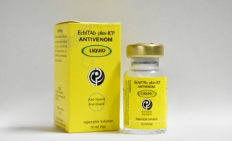 EchiTAb-plus-ICP